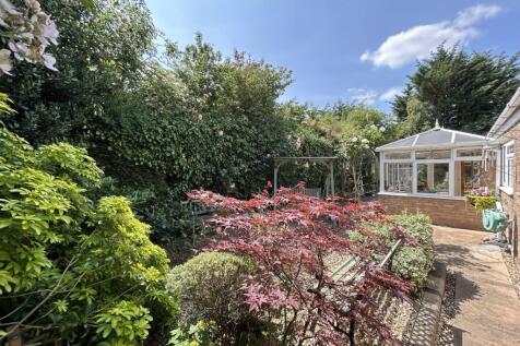 Garden 4