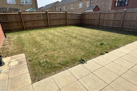 Garden 2.JPG