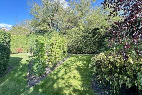 Garden 2
