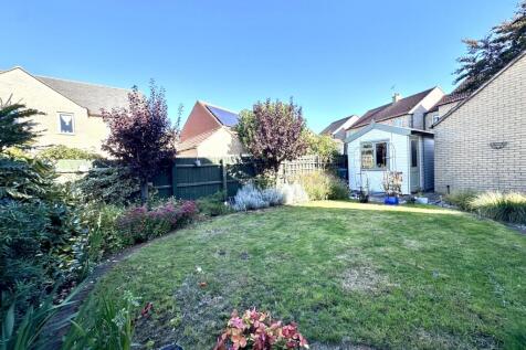 Rear garden 3