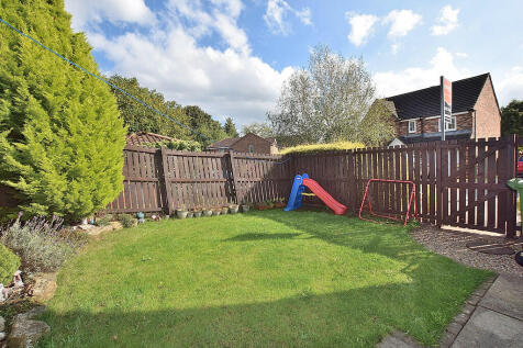 rear garden_01
