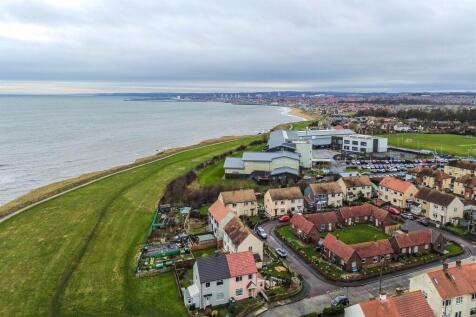 Aerial Shot