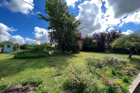 garden.jpg