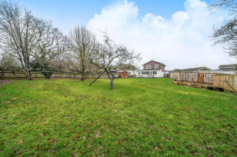 Extensive Lawn