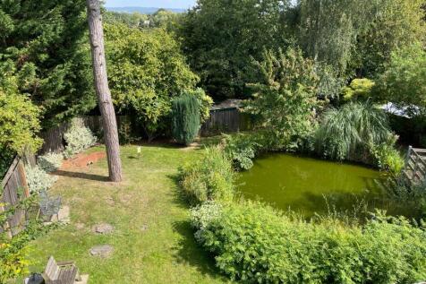 View Of Pond