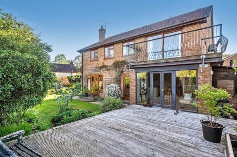 Decking &amp; Rear
