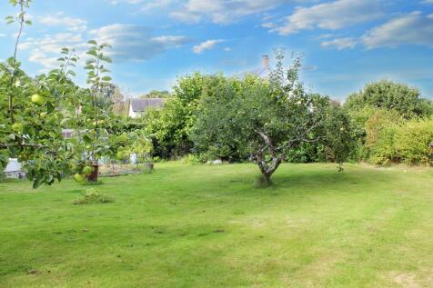 Orchard