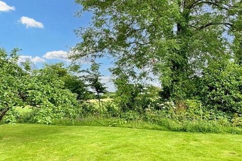 View From Garden