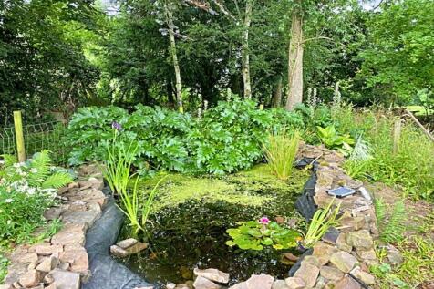 Wildlife Pond