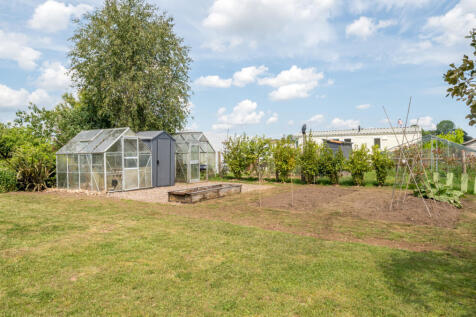 Veggie Garden