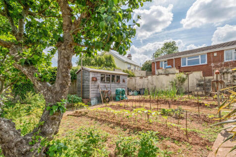 Vegetable Garden
