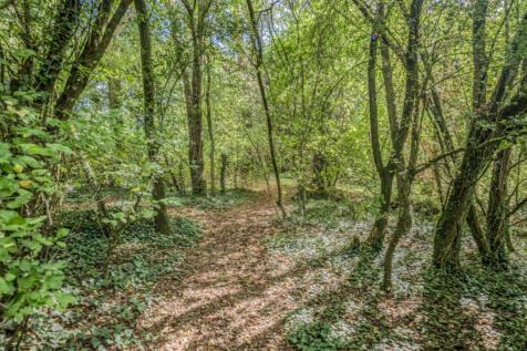 Woodland Area
