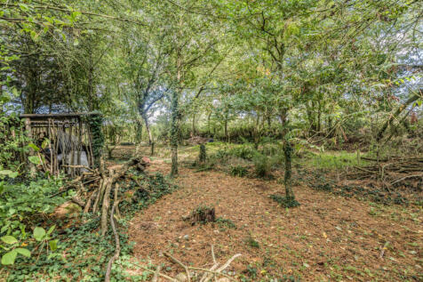 Woodland Area