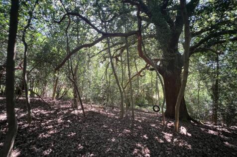 Property Image 31