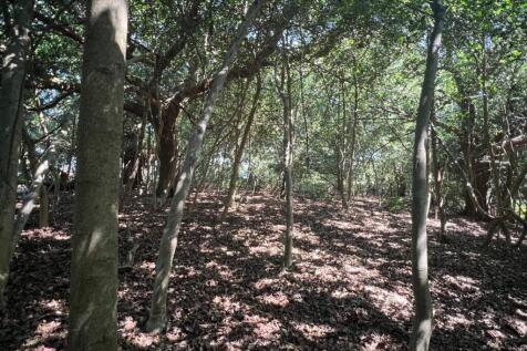 Property Image 33