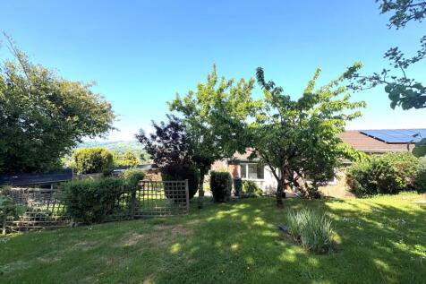 Tiverton Seddons