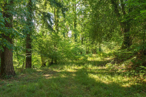 Heathcote Wood