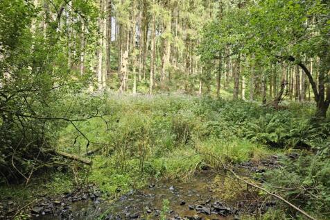 Heathcote Wood