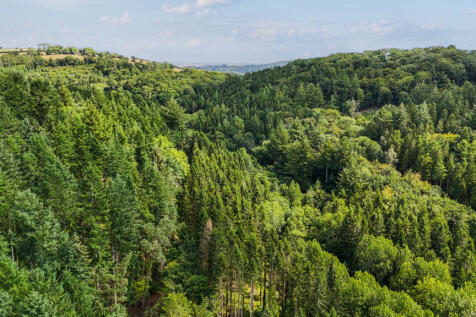 Heathcote Wood