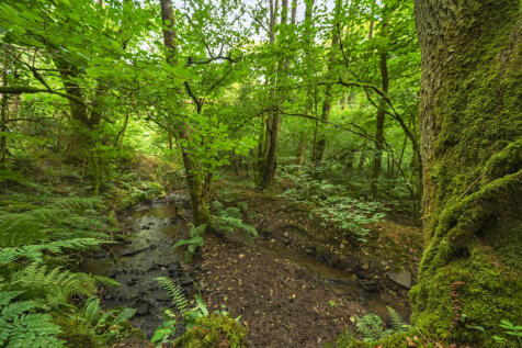 Heathcote Wood