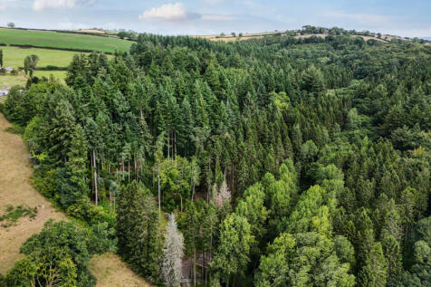 Marley Wood