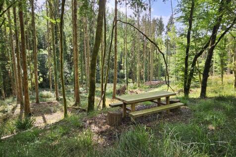 Marley Wood
