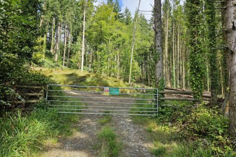 Marley Wood