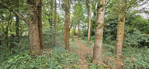 Broomsmead