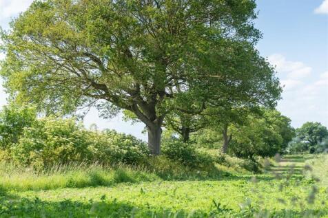 BADGER_WORLINGHAM_RECTORY_LANE_070622-24.jpg