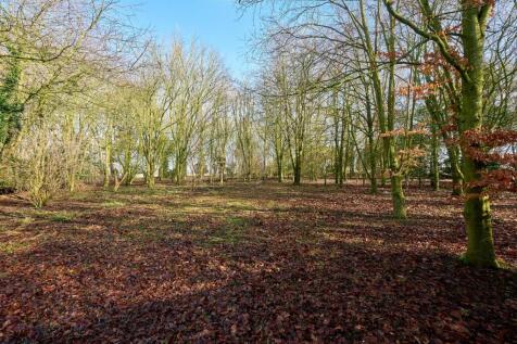 DSC_5239_HDR.jpg