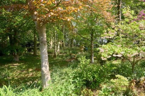 DSC_6398_HDR.jpg