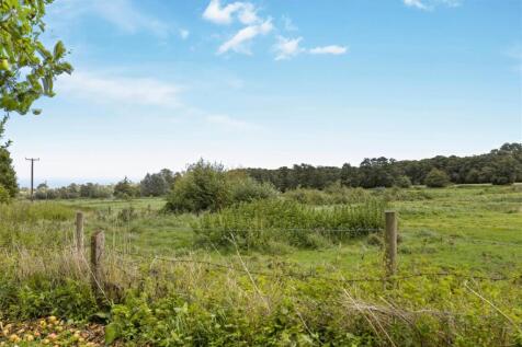 Mill Farm 5.jpg