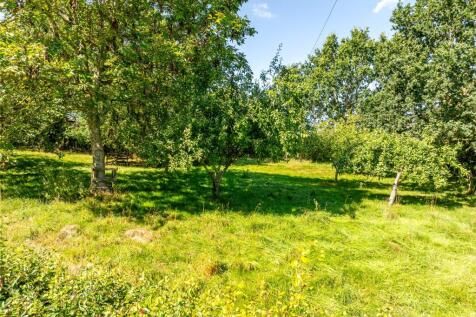 Orchard