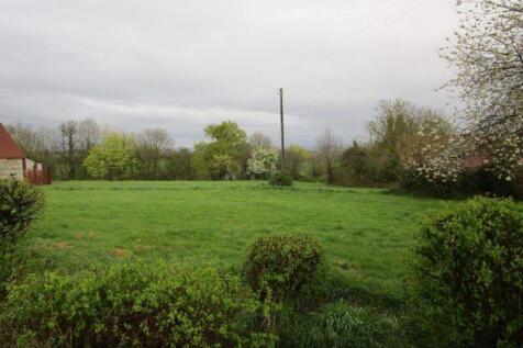 Photo 49