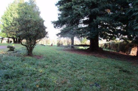 Photo 41
