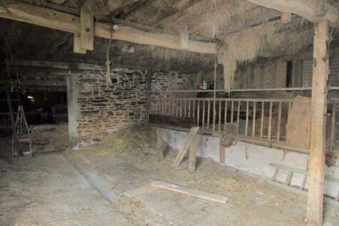 Photo 44