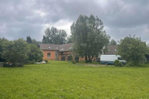 Photo 31