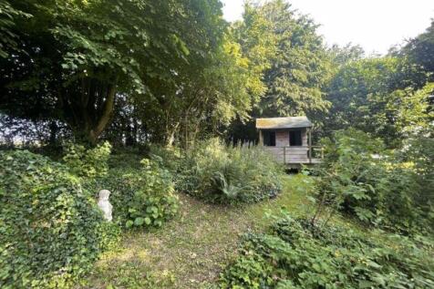 Photo 45