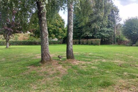 Photo 32
