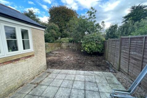 Back garden