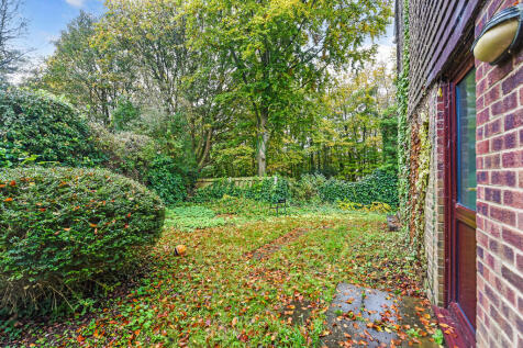 sketch_Ph4_554778...