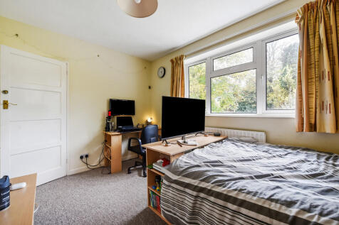 sketch_Ph27_63019...