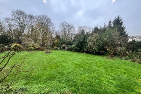 IMG-20251119-WA00...