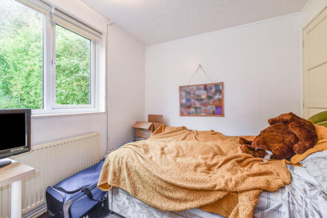 sketch_Ph11_50893...