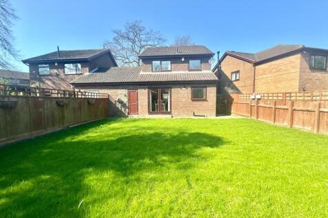 Back Garden