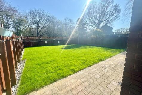 Back Garden