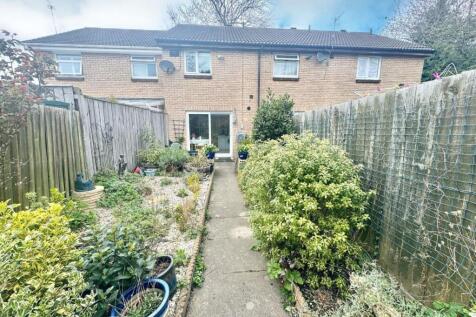 Back Garden