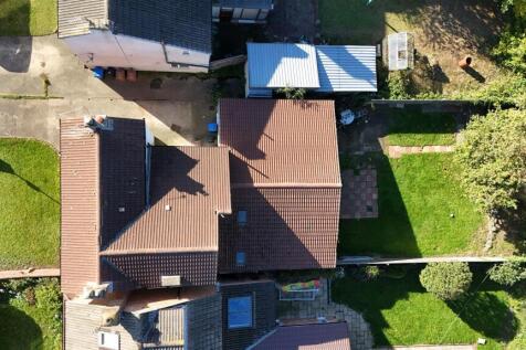 Birdseye Plot