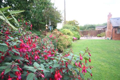 IMG_3672.JPG