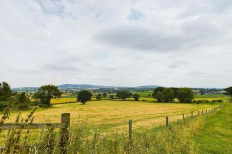 CAM02803G0-PR0109-STILL033.jpg